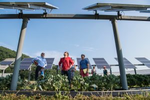 Solar Revolution In Papua New Guinea
